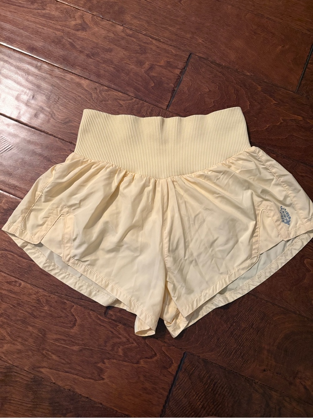 Free People Carpe Diem Shorts